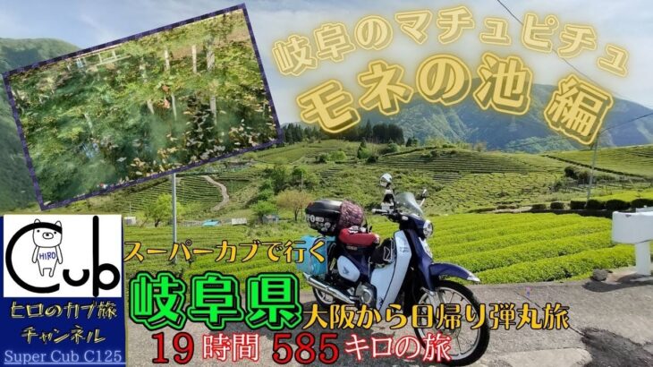 スーパーカブで大阪から岐阜県へ日帰り弾丸旅 ③モネの池・岐阜のマチュピチュ（天空の茶畑）編（19時間585キロの旅) 【ひとり旅】【原付2種 】【スーパーカブC125】