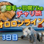 【チャリ旅】68歳のチャレンジ　オロロンライン3日目　増毛→羽幌