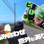 ♯１０【原付バイクで日本一周の旅！北海道(日高町・えりも町)】海から顔を出した生物とは・・・