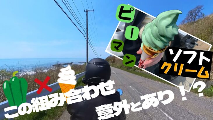 ♯１０【原付バイクで日本一周の旅！北海道(日高町・えりも町)】海から顔を出した生物とは・・・