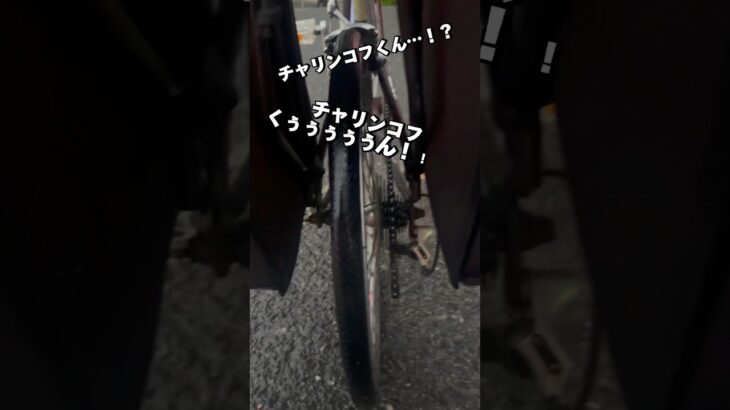 【デブオタクの自転車旅#17 チャリンコフくん、今度こそﾀﾋす！？】Day10(2024/4/24)姫路→岡山 #自転車 #旅 #自転車旅 #サイクリング #ロードバイク #ダイエット #姫路 #岡山