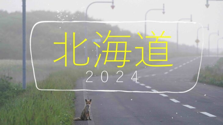 北海道バイク旅② 2024年6月　根室周辺探索記
