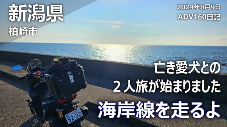 【亡き愛犬ココアとの2人旅が始まったよ】バイク初心者。ADV160で亡き愛犬ココアと海岸線をツーリング♪（原付/小型/中型/大型/ビクスク/N-MAX/PCX/フォルツァ/X-MAX/アポロch)