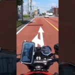 早起きしてサクッとバイク乗って来ました！帰って来て水シャワー浴びて猫&犬とマッタリ！Misty金太郎ショート管マフラーLサイレンサーExhaust sound！