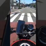 朝からバイク乗りました！帰って来て水シャワー浴びてセブンのアイス食べて犬&猫とマッタリ！休日最終日ユックリ過ごしてます！Misty金太郎ショート管マフラーLサイレンサーExhaust sound！