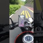 毎日メッチャ灼熱の暑さ！バイクに乗るなら早起きして気温の低い早朝に走るしかない！Misty金太郎ショート管マフラーLサイレンサーExhaust sound！#バイク好きな人と繋がりたい