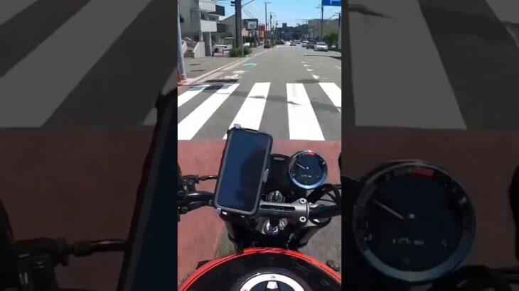 朝からバイク乗りました！帰って来て水シャワー浴びてセブンのアイス食べて犬&猫とマッタリ！休日最終日ユックリ過ごしてます！Misty金太郎ショート管マフラーLサイレンサーExhaust sound！