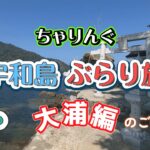 【チャリング】　宇和島自転車ぶらり旅　～パート３・大浦編～