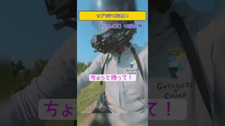 金山だけじゃない！絶景いっぱい佐渡島ツーリング！＜カブで旅するおばさんの動画＞ #クロスカブ #ツーリング #バイク旅 #カブ旅 #モトブログ #カブ #原付旅 #佐渡島