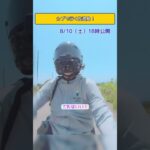 いよいよ佐渡島に上陸！＜カブで旅するおばさんの動画＞ #クロスカブ #ツーリング #バイク旅 #カブ旅 #モトブログ #カブ #原付旅