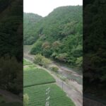 【原付旅】⚠️閲覧注意⚠️絶景かな！川根温泉の少し先の橋からの眺め 2024年9月 その1