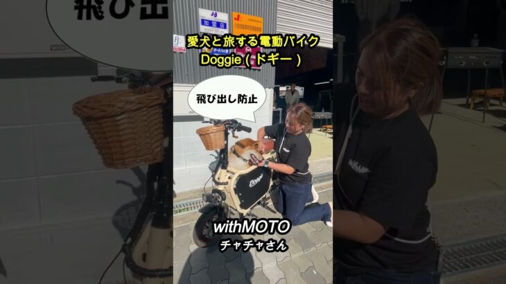 愛犬と旅する電動バイク　Doggie（ドギー）／withMOTO チャチャさん