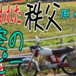 【ななまる日記】原付ツーリング　秩父の天空のポピーを見に行ったら鹿に喰われてた！？