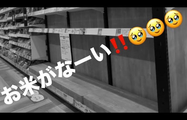 【バイク旅】令和の米騒動‼️お米は一体どこへいってしまったのか…🌾