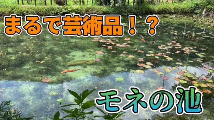 【原付探検　岐阜前編】岐阜にある池が芸術品のように美しかった…