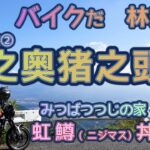 [バイク旅#164]　絶景林道part2  湯之奥猪之頭線(山梨ー静岡)は最高　林道バイクツーリングは楽しい　みつばつつじの家の虹鱒(ニジマス)丼は実においしいグルメだった