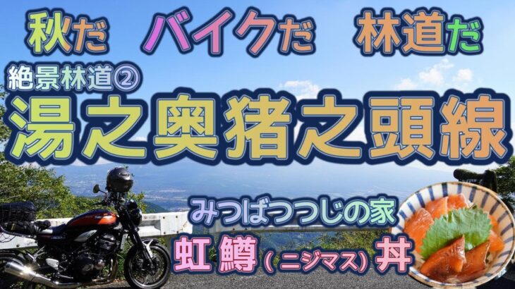 [バイク旅#164]　絶景林道part2  湯之奥猪之頭線(山梨ー静岡)は最高　林道バイクツーリングは楽しい　みつばつつじの家の虹鱒(ニジマス)丼は実においしいグルメだった