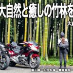 【バイク旅】日光にある自然が織りなす峡谷の絶景と希少な竹林の空間に感動のツーリング！ライダーに人気の高原牧場やおしゃれカフェも満喫しました。【Honda Gold Wing/Rebel/モトブログ】