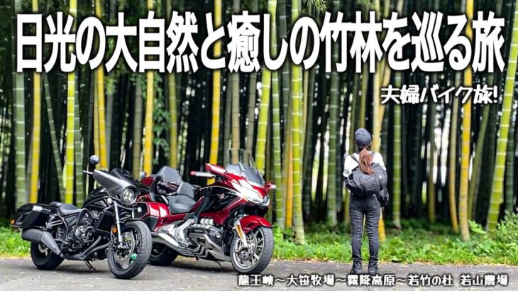 【バイク旅】日光にある自然が織りなす峡谷の絶景と希少な竹林の空間に感動のツーリング！ライダーに人気の高原牧場やおしゃれカフェも満喫しました。【Honda Gold Wing/Rebel/モトブログ】