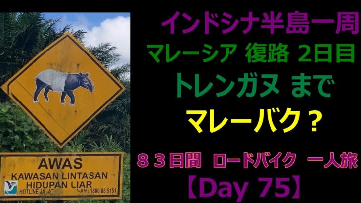 インドシナ半島一周　ロードバイク　55歳　一人旅  【Day 75】 コタ・バル → トレンガヌ　１７２Km　bike trail in malaysia  復路マレーシア　旅は続くのか？