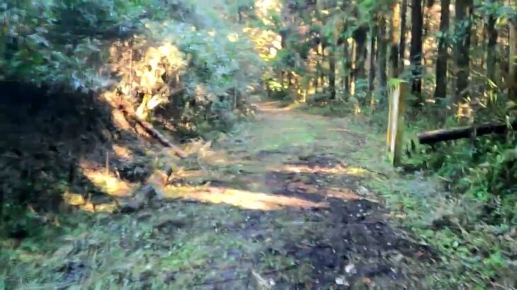 奥州街道古道（栃木県さくら市）電動バイクの旅