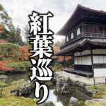 【紅葉の京都旅2泊3日②】自転車で巡る京都市内の神社と紅葉