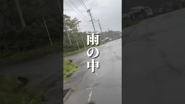 原付で日本一周、雨の日どうするの？ #旅行 #ひとり旅 #おすすめ #automobile #旅 #原付で日本一周