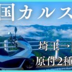 【PCX125】ひとり旅 四国カルストにいったらまさかの景色に【原付2種】