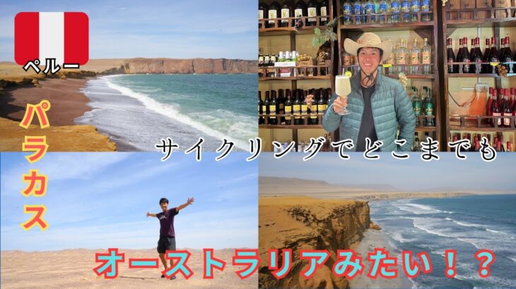 【酒旅車旅】ピスコサワー飲んで自転車でサイクリングするの巻。