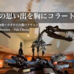 タイ自転車一人旅48日間#22「再び一人旅へ〜コラート化石博物館とカオヤイ観光の拠点パクチョン」