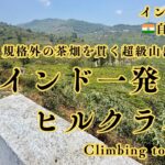 インド45日間自転車旅#3「インド一発目のヒルクライム 茶畑の超級山岳コタギリ Climb to Katagiri」