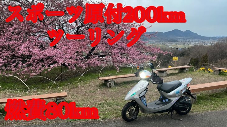 スポーツ原付Z4で200kmツーリング（景色、温泉、食事）燃費80km #原付モトブログ #スポーツバイク